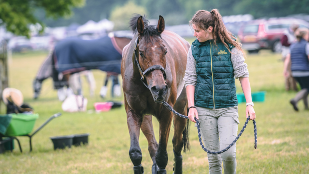 A groom leading a horse at an event