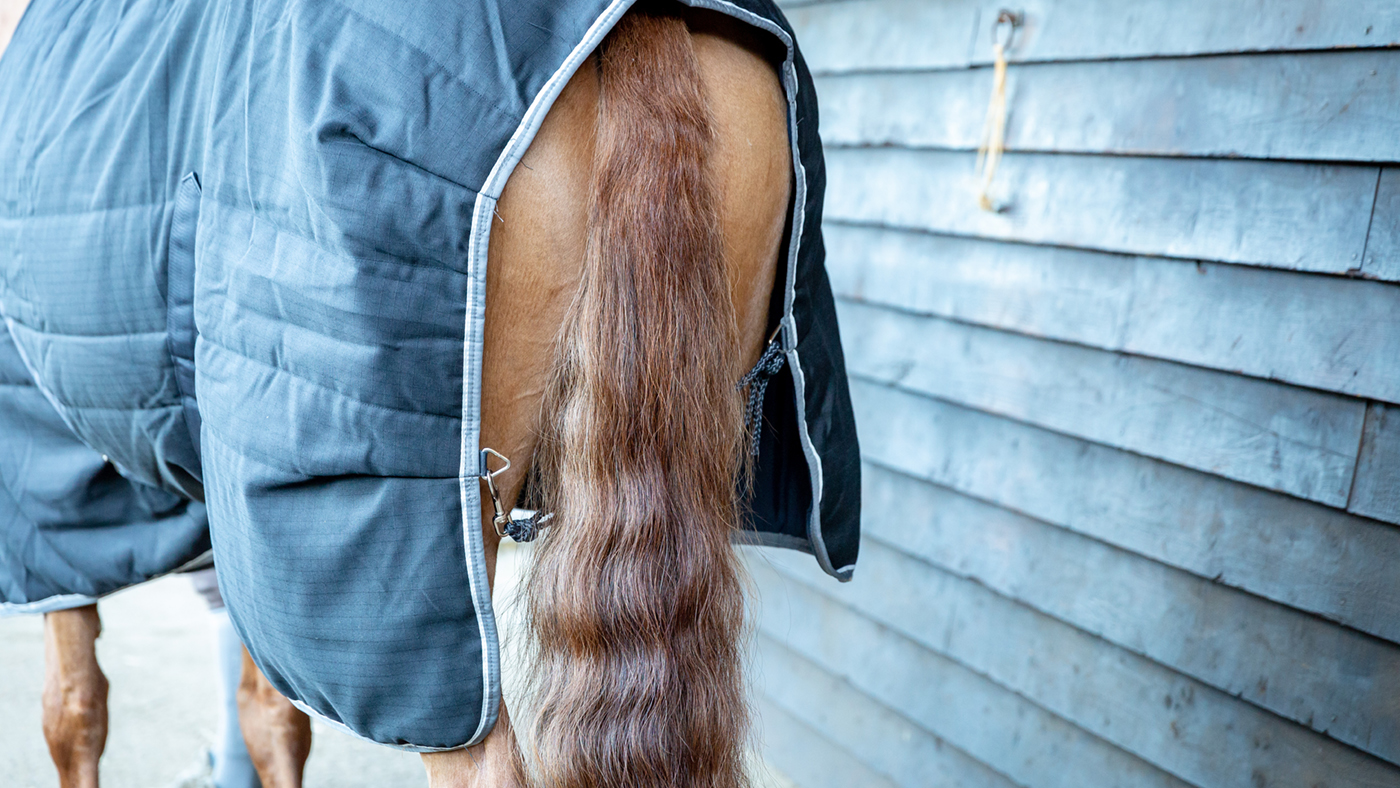 Horseware Rambo Original Stable Rug review