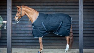 Horseware Rambo Original Stable Rug review