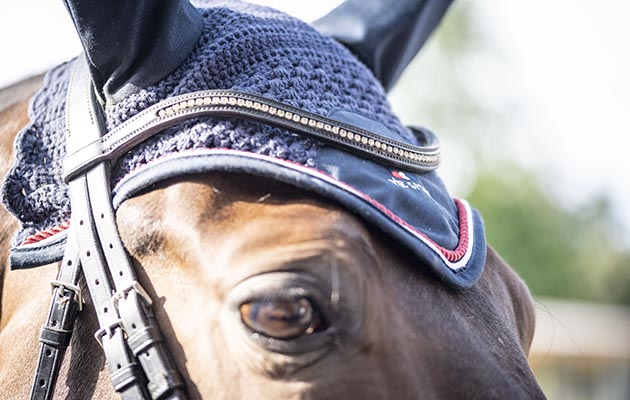 Premier Equine Fly Veil review