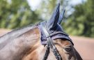 Premier Equine Fly Veil review