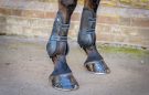 Premier Equine Kevlar Airtechnology Tendon Boots review