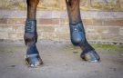 Premier Equine Kevlar Airtechnology Fetlock Boots review