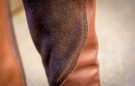 Premier Equine Windsor Half Chaps review