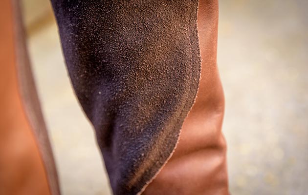 Premier Equine Windsor Half Chaps review