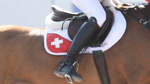 Steve Guerdat is out of the Olympic showjumping individual after failing to qualify for the final.