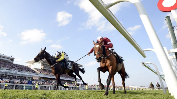 grand national entries 2019