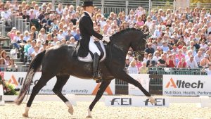 Edward Gal and Totilas at the 2009 European Championships Totilas KWPN stallion show 2019