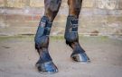 Tri-Zone Tendon and Fetlock boots review
