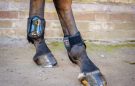 Tri-Zone Tendon and Fetlock boots review