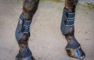 Tri-Zone Tendon and Fetlock boots review