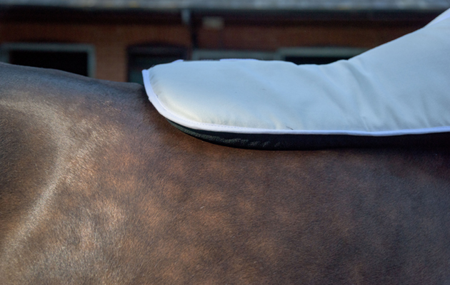 WeatherBeeta Memory Foam Comfort Half Pad review