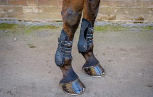 WeatherBeeta Pro Air boots review