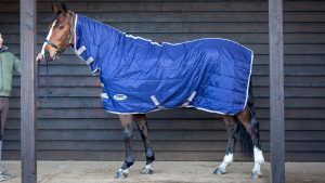 WeatherBeeta ComFiTec 210D Channel Quilt Combo Neck stable rug review