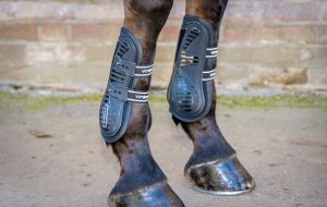 Whitaker Bingley Tendon/Fetlock boots review