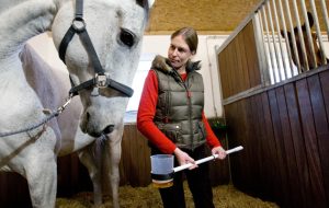 D20G16 Veterinarian Mary-Ann Sommer takes a urine sample duirng the demonstration of horse doping test in a stable in Riesenbeck, Germany, 09 January 2013. The German National Anti-Soping Agency (NADA) and the German Olympic Committee for Equestrian Sport (DOKR) demonstrate the new doping tests for horses at the stable of show jumper Ludger Beerbaum. Photo: Friso Gentsch
