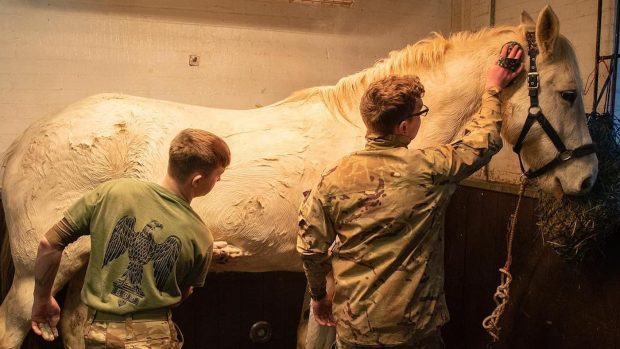 muddy cavalry horses