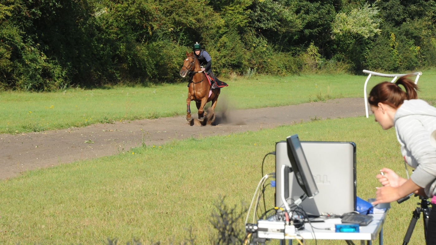 rally gallop cycle