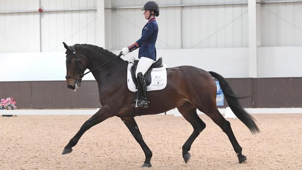 Charlotte Dujardin riding MSJ Charmer at Addington winter regionals 2019