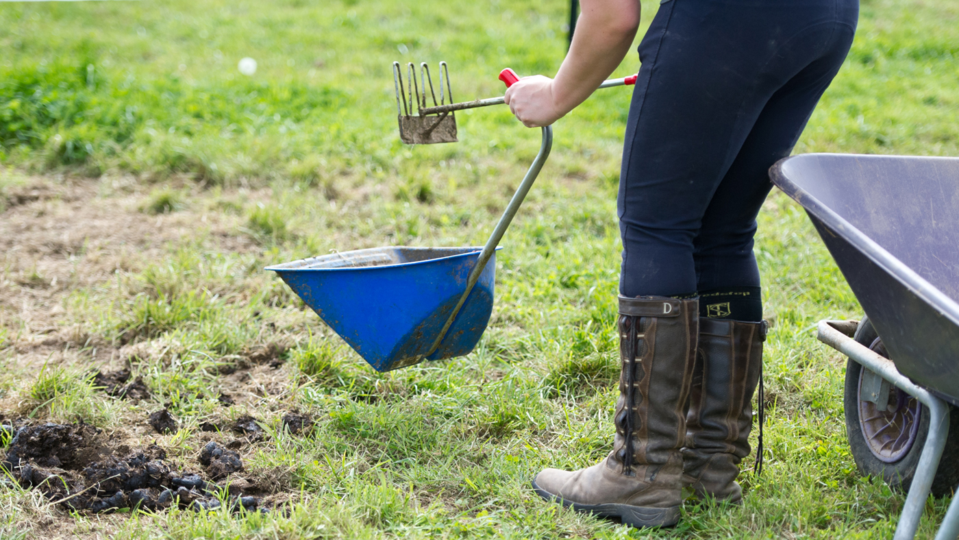 How often should you poo pick a horse's field? Horse & Hound