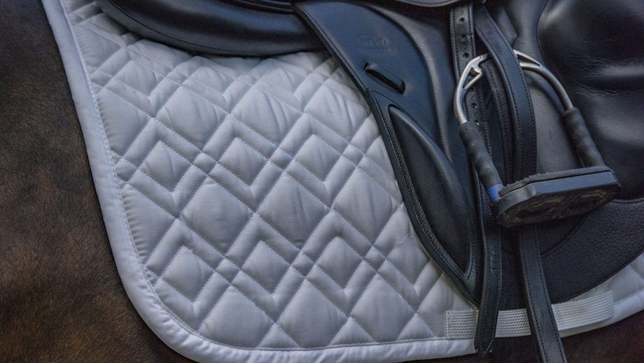 Eskadron Brilliant saddlecloth review