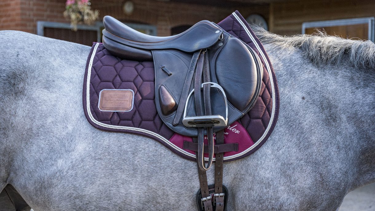 Felix Bühler Breeze Pro saddle pad review Horse & Hound
