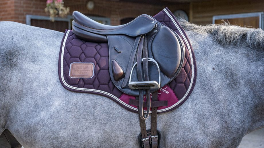 Felix Bühler Breeze Pro saddle pad review