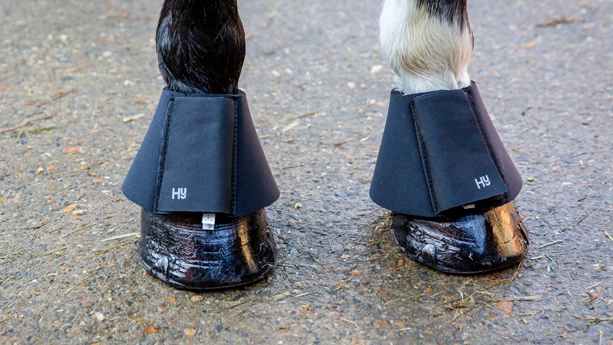 Types of horse boots which one is right for your horse? Horse & Hound