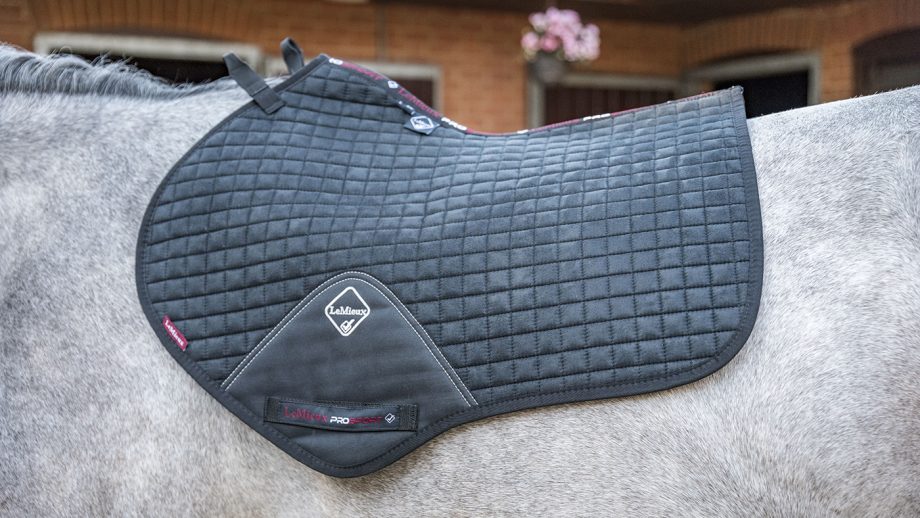 LeMieux ProSport CC/Jumping suede square review