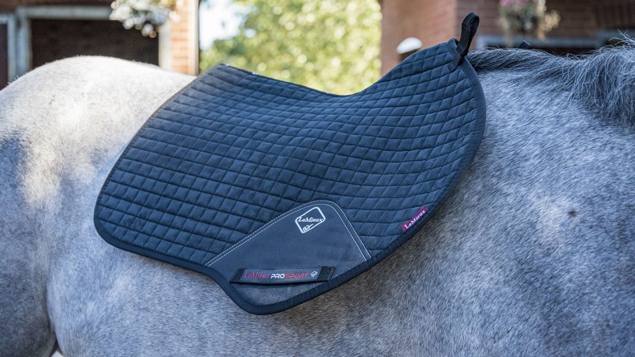 LeMieux ProSport CC/Jumping suede square review