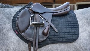 LeMieux ProSport CC/Jumping suede square review
