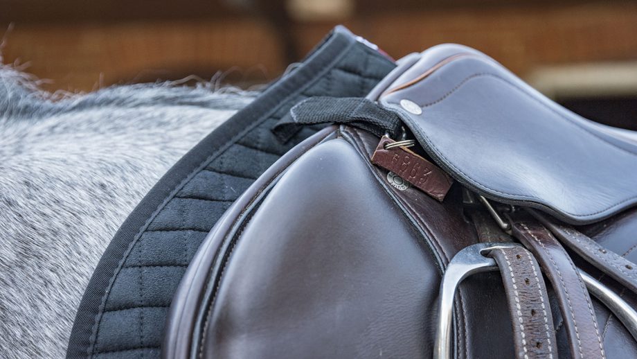 LeMieux ProSport CC/Jumping suede square review