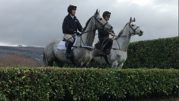 Saphir Du Rheu eventing