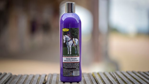 Smart Grooming Deep Purple shampoo review