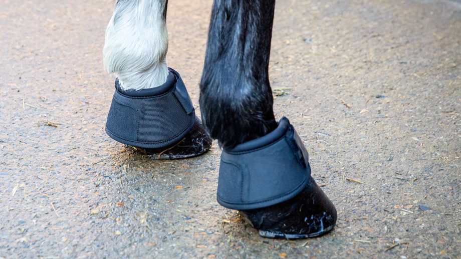 Equilibrium Tri-Zone overreach boots