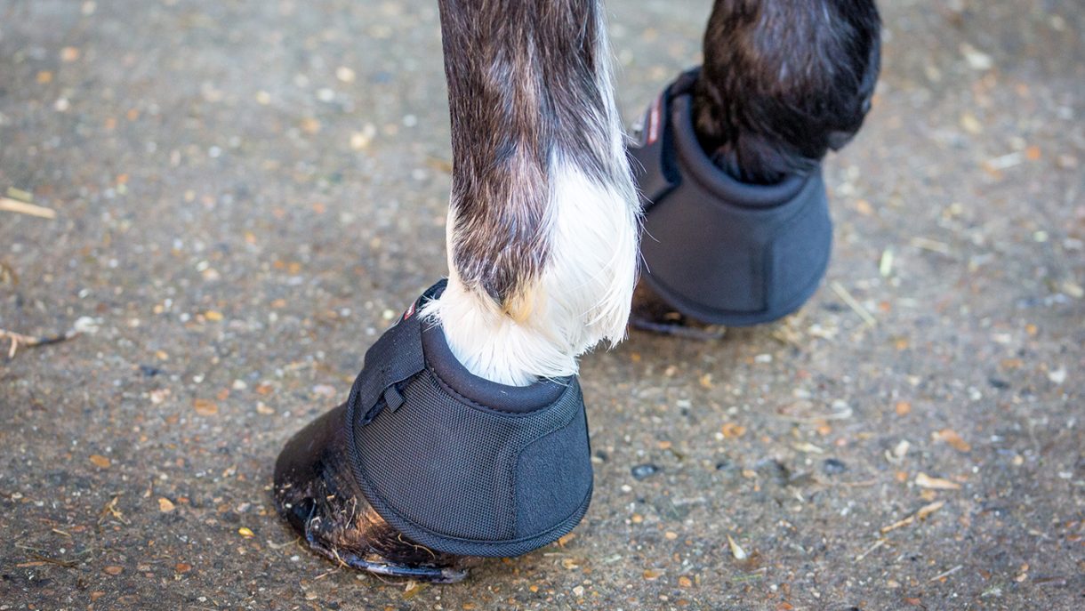 Best crosscountry boots for horses Horse & Hound