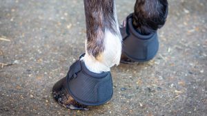 Equilibrium Tri-Zone overreach boots
