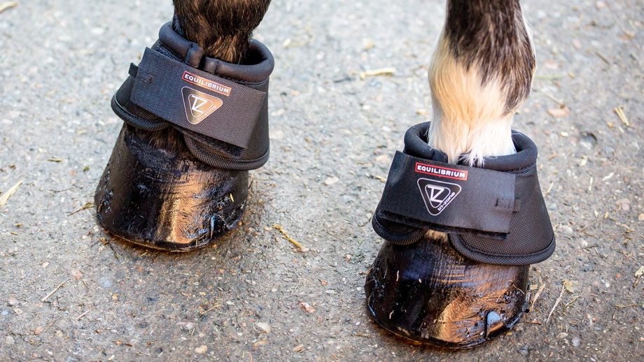 Equilibrium Tri-Zone overreach boots