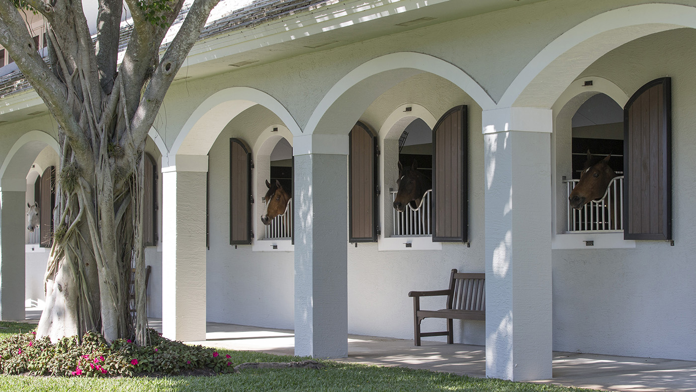 Amanda Derbyshire Baxter Hill Florida