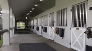 There is a wide range of types of horse stable lighting available