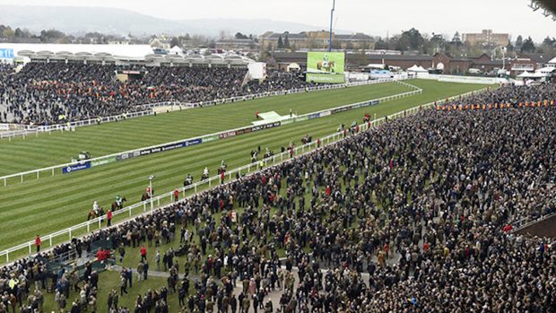 The Cheltenham Festival