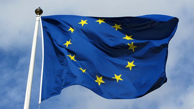 Travelling horses to europe: why it is essential to secure seamless international travel for equines after Brexit