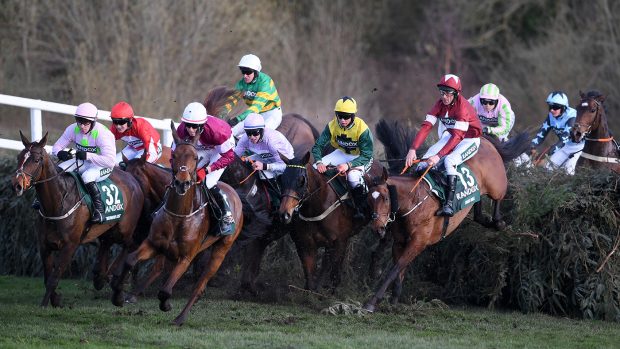 Grand National runners and form guide
