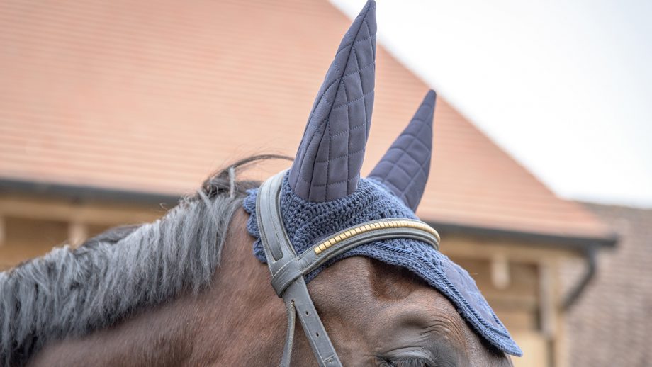 Best ear Horse & Hounds’s tester ranks her favourites