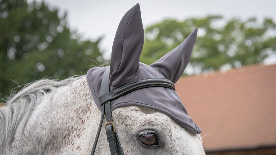 Fenwick Liquid Titanium ear bonnet review