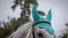 WeatherBeeta Prime ear bonnet review