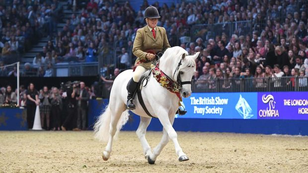 Banks Timber and Sandra Burton M&M Champion during the Olympia, The London International Horse Show held at Olympia in London in the UK between 17 - 23 December 2018