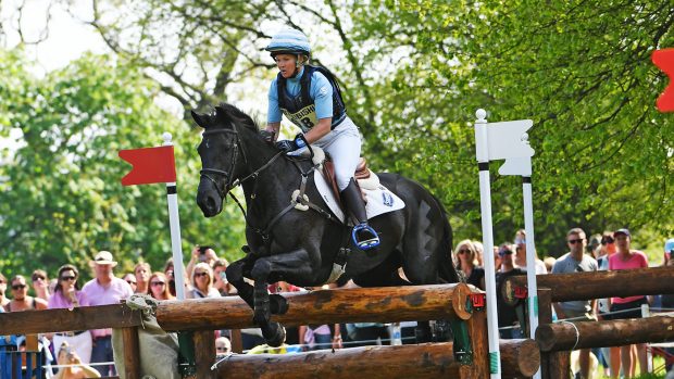 Badminton 2019 entries revealed
