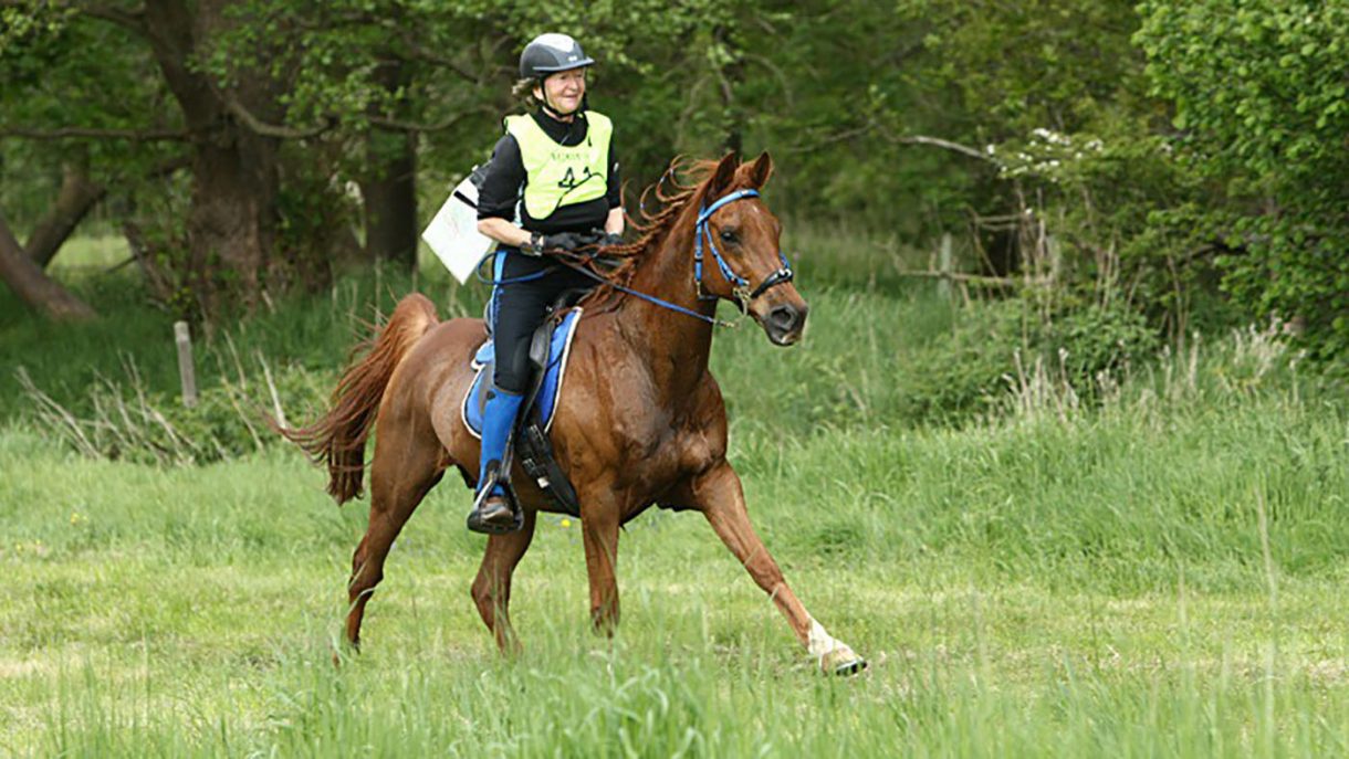 Try something new in 2019 endurance riding Horse & Hound