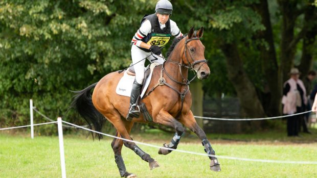 Dengie-5-reason-Hero-image